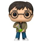 Funko POP! Harry Potter S18 – Harry és Hourglass figura