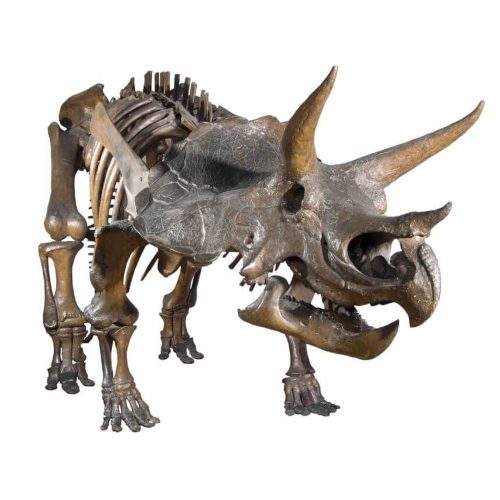 Dinoszauruszok képnézegető