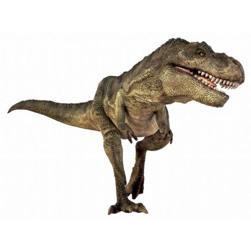 Dinoszauruszok képnézegető