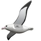 EUGY Királyalbatrosz 3D puzzle