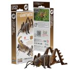 EUGY Óriás weta 3D puzzle